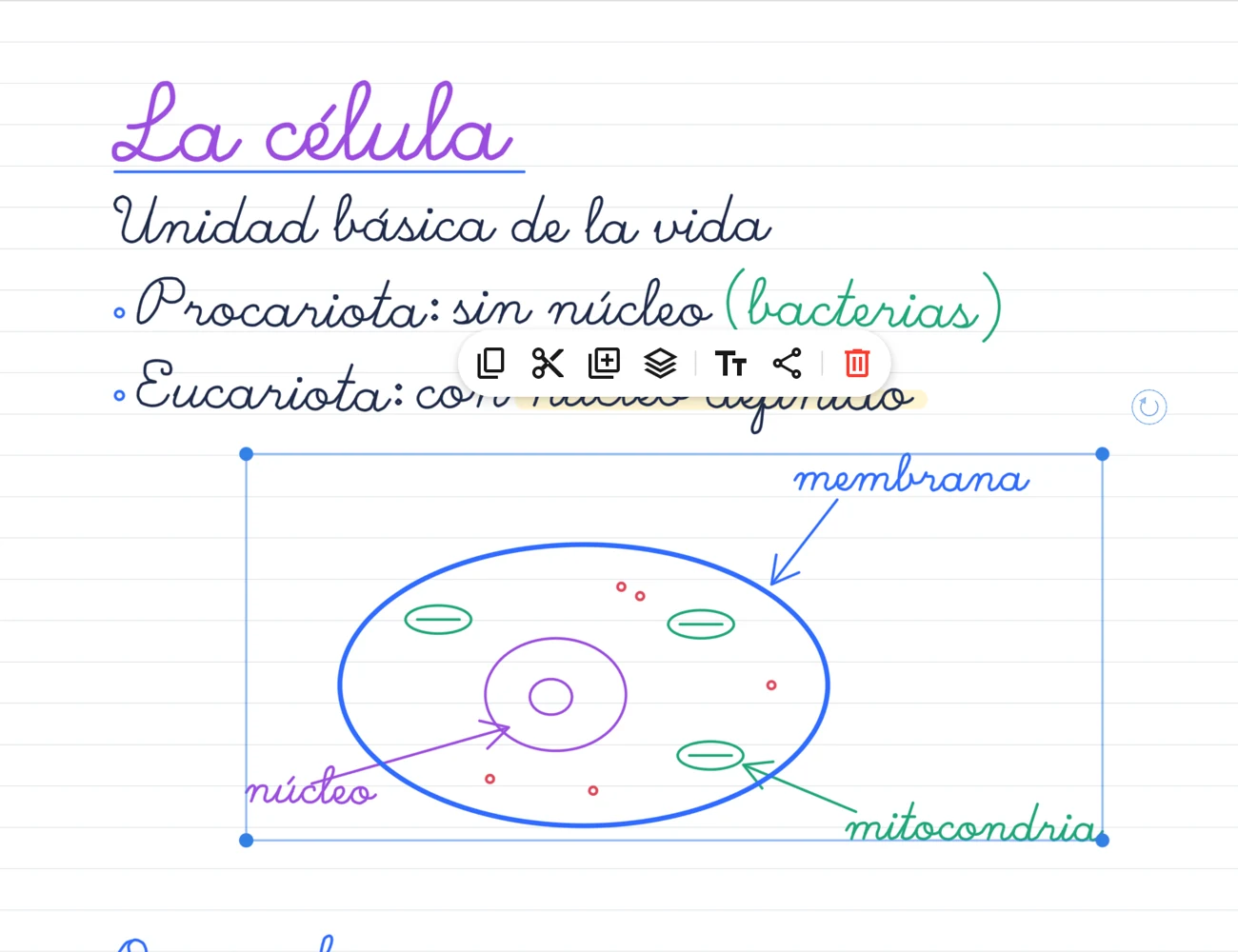El diagrama de la célula seleccionado con el lazo, con su barra de acciones.